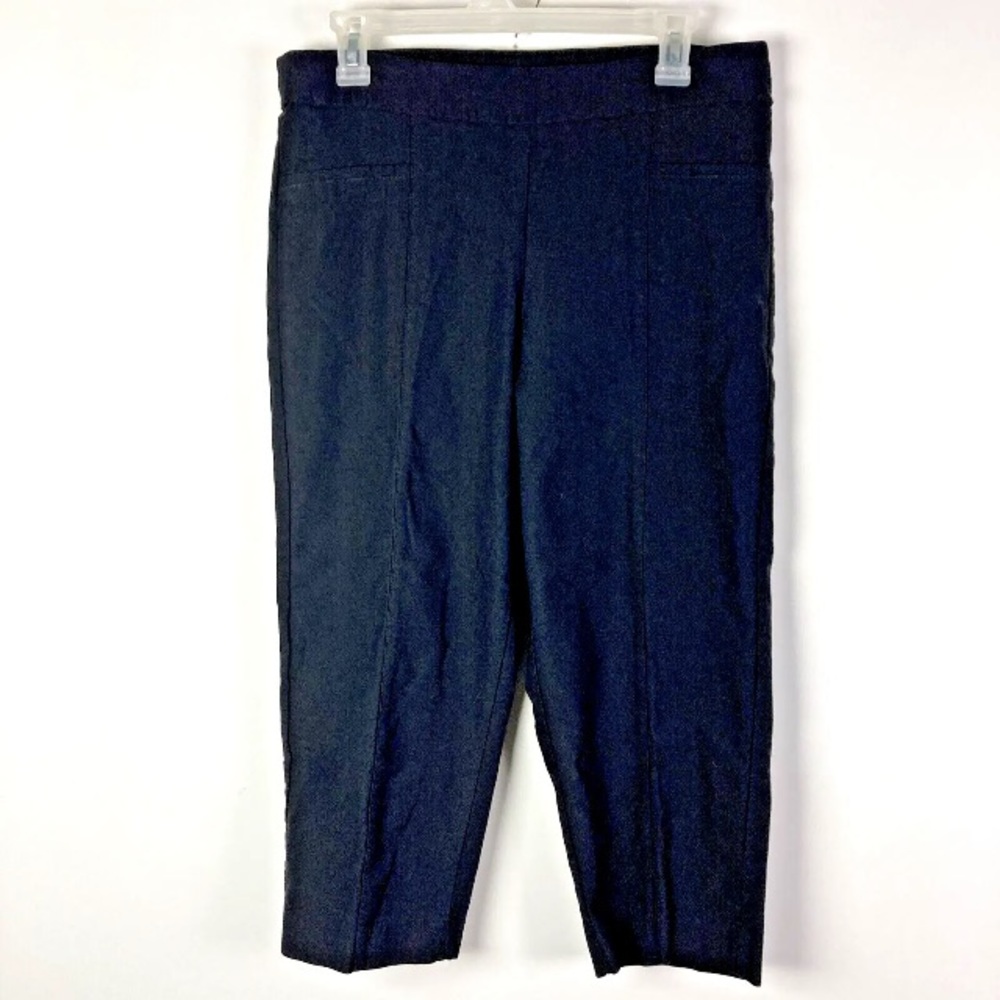 Habitat L Seamed Capri Pants Rayon stretch blend crop straight leg 21 in